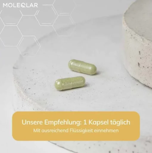 MoleQlar Longevity Spermidin pro Kapseln, 60 St- Spermidin