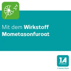 Mometason – 1 A Pharma® bei Heuschnupfen, 10 g^1A Pharma New