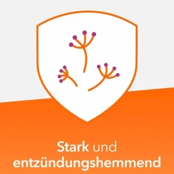 Ratiopharm Nasenspray Allergie-Mometason Heuschnupfenspray, 10 g