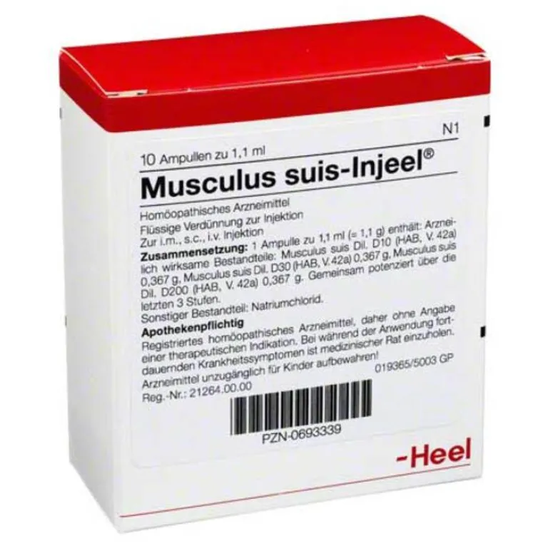 Injeel Musculus suis Ampullen, 10 St- Heel