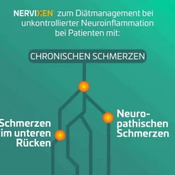 Nervixen Hirnleistung & Nerven-Tabletten, 60 St