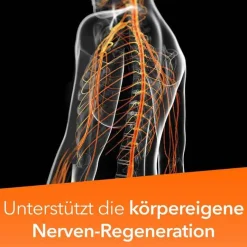 -ratiopharm forte Kapseln, 80 St^Neuropax Best