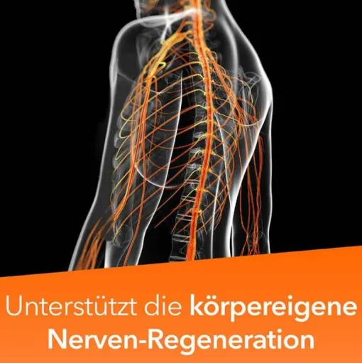 -ratiopharm forte Kapseln, 80 St^Neuropax Best