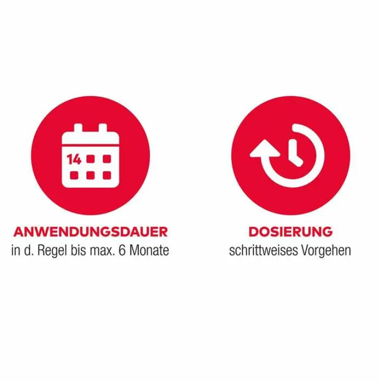 Aliud Pharma NICOTIN AL 1mg/Sprühstoß Spray, 2x2 St- Nikotinspray Und Inhaler