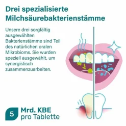 Nupure probadent forte 3 Bakterien Kulturen 5 Mrd. KBE Lutschtabletten, 90 St- Bakterienkulturen