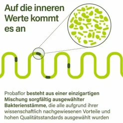 Nupure Bakterienkulturen-probaflor Mikrobiotika magensaftresistent Kapseln, 60 St