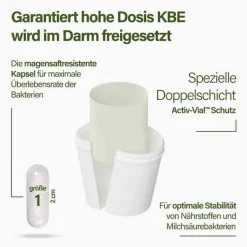 Nupure probaflor Mikrobiotika magensaftresistent Kapseln, 90 St- Bakterienkulturen