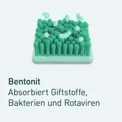 reizdarm akut b.Blähungen Bauchschmerz Kapseln , 30 St^Nupure Discount