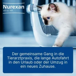 Nurexan Biologische Heilmittel Heel Gmbh-ad us. vet. Tabletten , 100 St