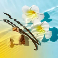 Nuxe Sun Sonnenmilch Gesicht & Körper LSF 50, 150 ml- Lsf 50+|Gesicht