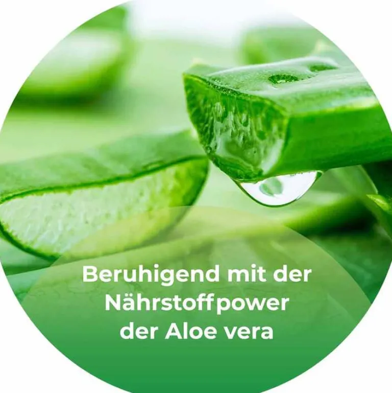 Alo + Augentropfen, 1X10 ml^Ocutears Best