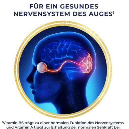 Citicolin Kapseln, 30 St^Ocuvite Best