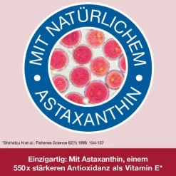 Dr. Loges Omega 3-Loges plus Kapseln, 60 St- Omega 3 Kapseln