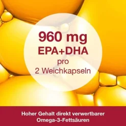 Dr. Loges Omega 3-Loges plus Kapseln, 60 St- Omega 3 Kapseln