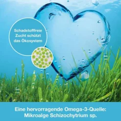 Dr. Loges OMEGA3-Loges pflanzlich Kapseln, 60 St- Omega 3 Kapseln