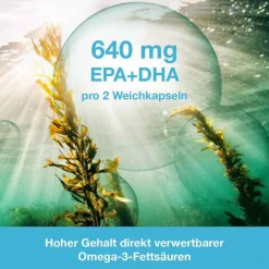 Dr. Loges OMEGA3-Loges pflanzlich Kapseln, 60 St- Omega 3 Kapseln