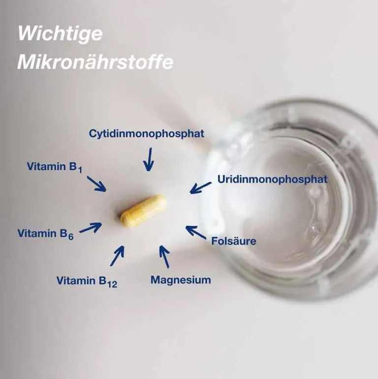 Orthomol neuro Kapseln, 30 St- Hirnleistung & Nerven