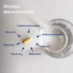 neuro Kapseln, 90 St^Orthomol Online