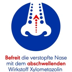 Otriven Nasenspray Kinder|Schnupfen & Nasennebenhöhlen-0,05 % Nasenspray (Dosierspray) ohne Konservierungsstoffe für Kinder, 10 ml