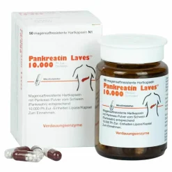 10.000 Ph.Eur.-Einh.magensaftresistent Hartkapseln , 50 St^Pankreatin Laves Hot