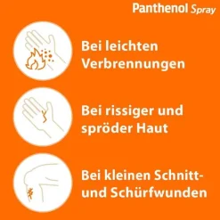 Panthenol ® Spray fördert die Wundheilung der Haut, 130 g- Wund- & Heilsalbe|Panthenol