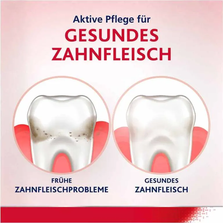 tägliche Zahnfleischpflege Revitalise, 300 ml^Parodontax Online