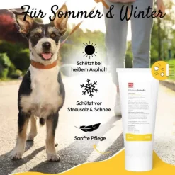 PhA Pfotenschutz für Hunde Paste, 125 g- Bewegungsapparat