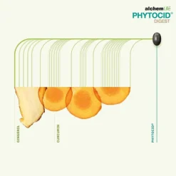 Phytocid Digest Kapseln, 15 St^ Hot