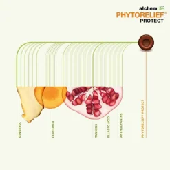 Phytorelief Protect Lutschpastillen, 12 St- Halsschmerztabletten