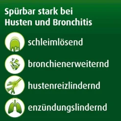 Prospan ® Hustentropfen, 50 ml- Hustenlöser