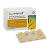 Intercell Coenzym Q10-Q10- Kapseln, 60 St