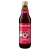 Rabenhorst schützen mit Zink Saft, 700 ml^ Online