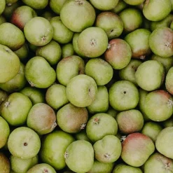 Rausch Shampoos-Anti-Pollution-Shampoo mit Schweizer Apfel, 200 ml