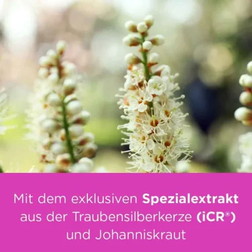 ® PLUS Johanniskraut , 60 St^Remifemin New