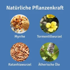 Repha OS Mundpflege-Mund- und Rachenspray, 12 ml