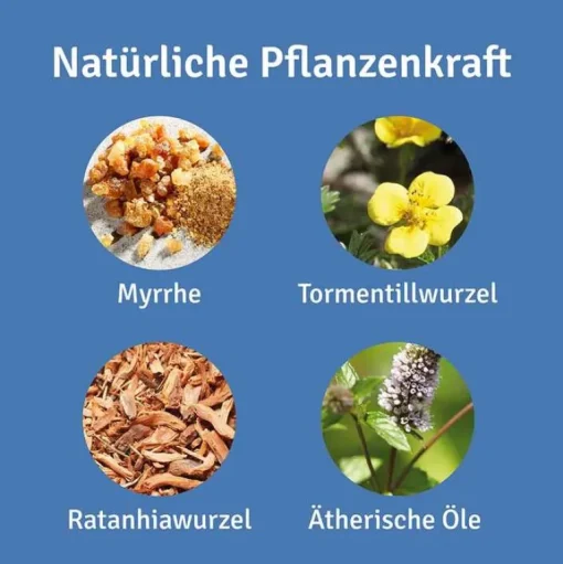 Repha OS Mundpflege-Mund- und Rachenspray, 12 ml