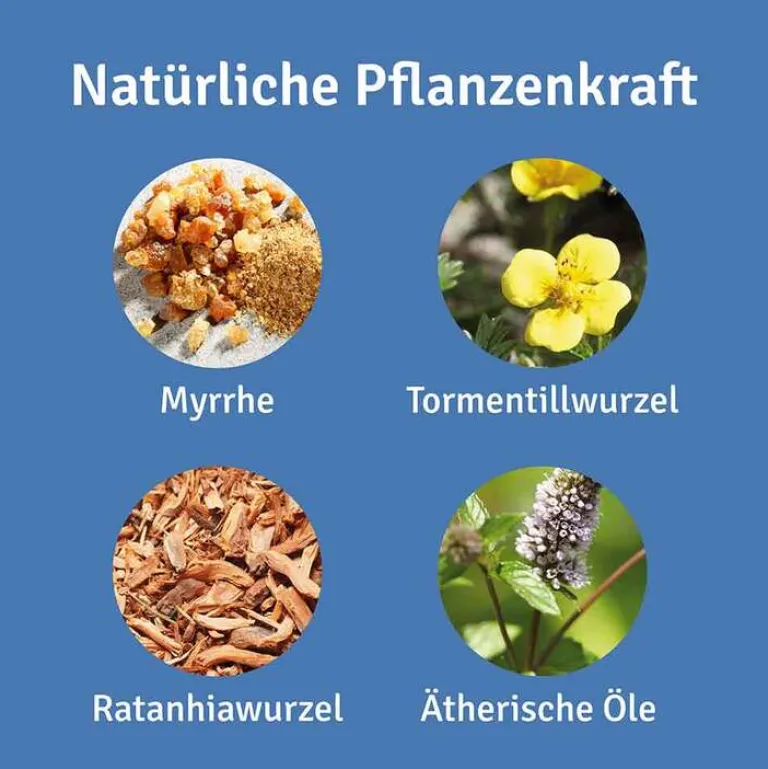 Repha OS Mundpflege-Mund- und Rachenspray, 12 ml