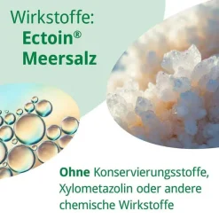 Leyhs Rhinoguttae Neo Nasenspray, 20 ml- Meerwasser Nasenspray|Schnupfen & Nasennebenhöhlen