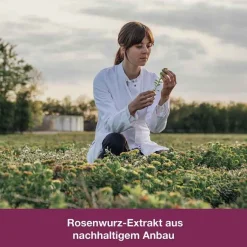 Dr. Loges rhodioLoges® 200 mg Filmtabletten, 120 St- Beruhigungsmittel