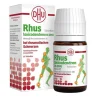 Rhus toxicodendron D6 bei rheumatischen Schmerzen Tabletten , 80 St^DHU Outlet