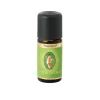 Primavera Ätherische Öle & Duftöle-Rosmarin Campher Öl ätherisch , 10 ml