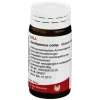 Herz, Kreislauf & Venen-Sarothamnus comp. Globuli, 20 g