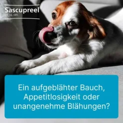 Heel Rinder|Pferde-Sascupreel ad us. vet. Tabletten, 500 St