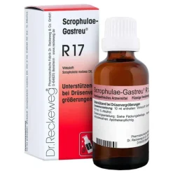 Scrophulae Gastreu R 17 Tropfen zum Einnehmen, 50 ml^ Online
