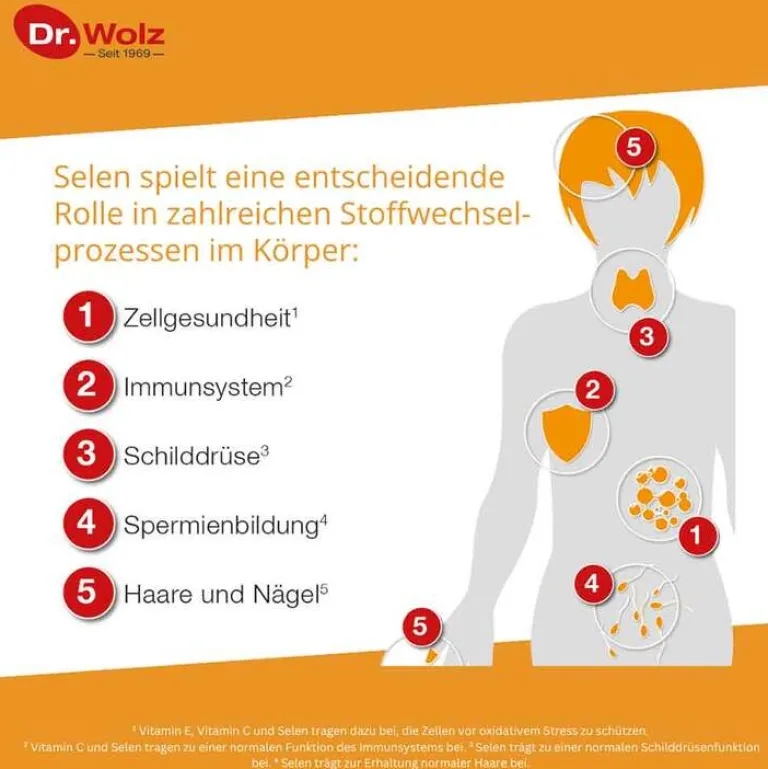 Dr. Wolz Selen-Selen ACE 100 µg 180 Tage Kapseln, 180 St