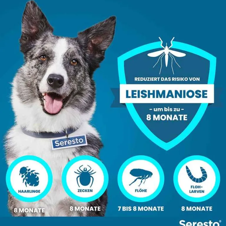 Halsband für große Hunde über 8 kg, 1 St^Seresto Hot