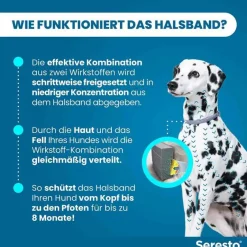 Halsband für große Hunde über 8 kg, 1 St^Seresto Hot