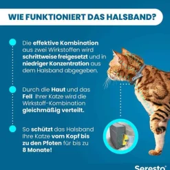 ® Halsband für Katzen , 1 St^Seresto Online