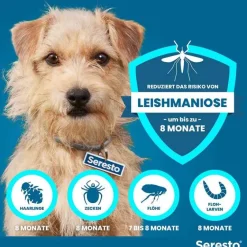 ® Halsband für kleine Hunde bis 8 kg, 1 St^Seresto Hot