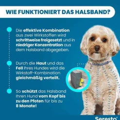 ® Halsband für kleine Hunde bis 8 kg, 1 St^Seresto Hot